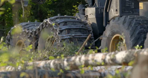 Logging machine  moves to the place of work where it will cut down trees  Stock Footage 105978817