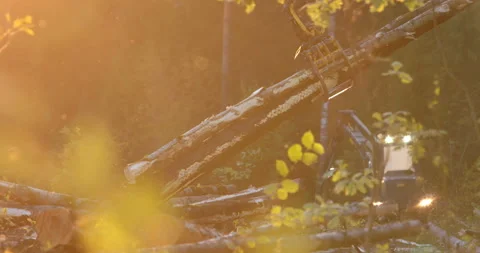 The logging machine overloads the trunks for transporting to place of storage Stock Footage 105979408