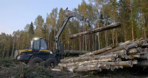 The logging machine overloads the trunks for transporting to place of storage Stock Footage 105979642