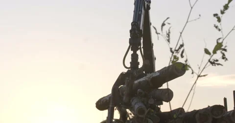 The logging machine overloads the trunks for transporting to place of storage Stock Footage 105979706