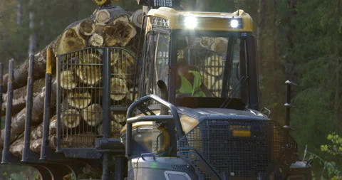 The logging machine transports the trunks of the cutting trees to storage site Stock Footage 105979461