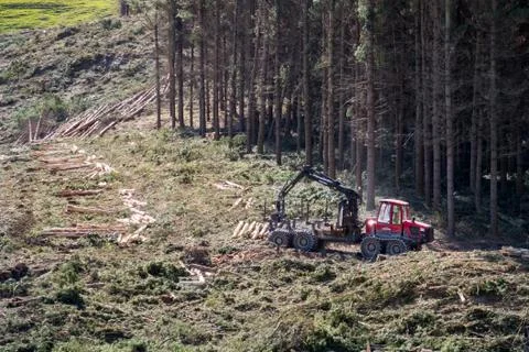 Logging machinery at work on a hillside forestry site in New Zealand Stock Photos