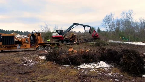 Logging Machines at Work (4k) Video stock 168330928