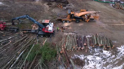 Logging Machines Working (4k) Video stock 168330559