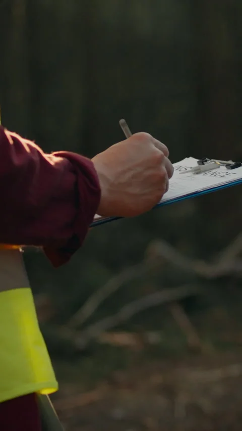 Logging manager records operations data during forestry project in the field Video stock 331603038