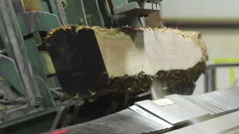 Logging Mill Cuts Saws Tree Logs Stock Footage 172263954
