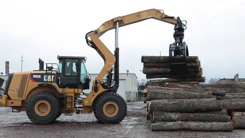 Logging Moving Trees to Wood Pile with Picker Machine Stock Footage 172264484