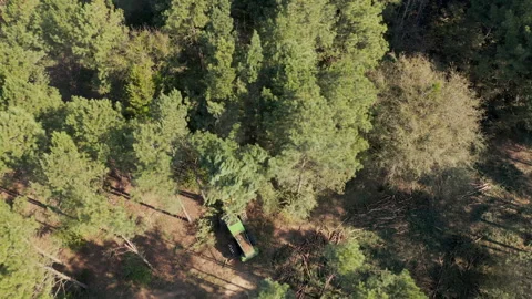 Logging Operation in Forest - Aerial View Stockbeeldmateriaal 248157362