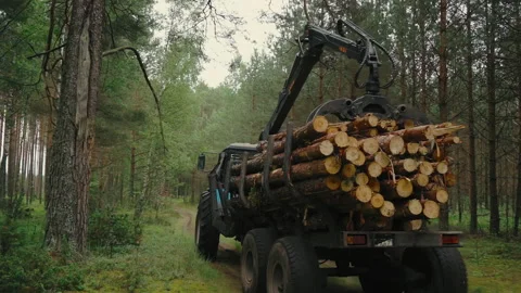 Logging or agricultural needs. Deforestation for sawn wood. Stock Footage 233905053