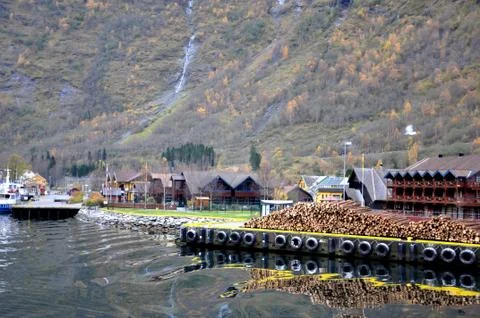 Logging Stock Photos