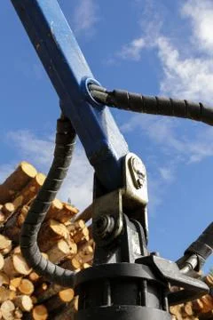 Logging Stock Photos
