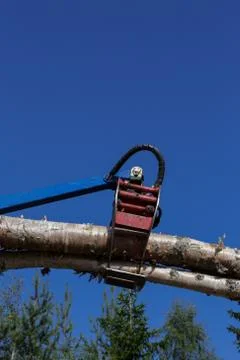 Logging Stock Photos