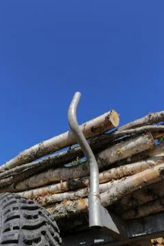 Logging Stock Photos