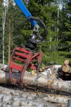 Logging Stock Photos