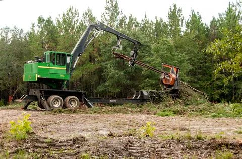Logging Stock Photos