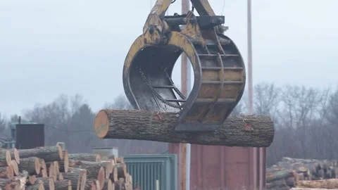 Logging Picker Moving Logs at Mill Stock Footage 172264060