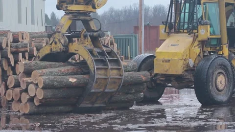 Logging Picker Moving Logs at Wood Mill Stock Footage 172264083