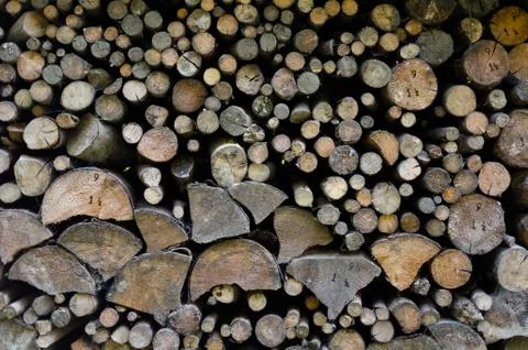 Logging - pile with cutted trunks and branches of tree Foto stock