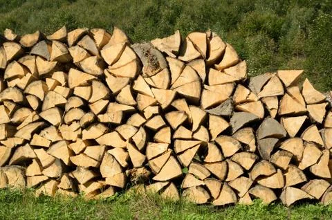 Logging - pile with cutted trunks and branches of tree. Foto stock