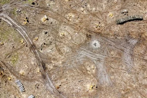 Logging place, aerial view. Devastated land. Felled forest. Stock Photos