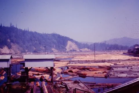 Logging Pond Stock Photos