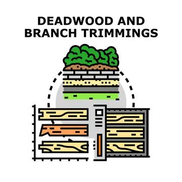 Logging process collecting deadwood and branch trimmings Stock Illustration