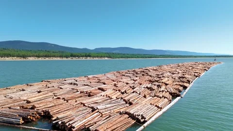 Logging raft lumber economic construction Canadian Wilderness Logging Stock Footage 307165063