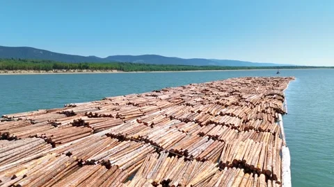 Logging raft lumber economic construction Canadian Wilderness Logging Video stock 307165064