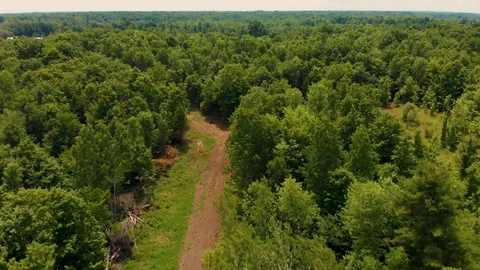 Logging road 2 Stock Footage 92036152