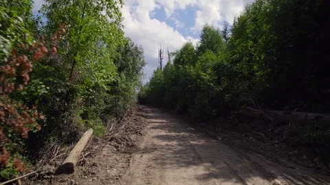 Logging Road in BC Stock Footage 249953128