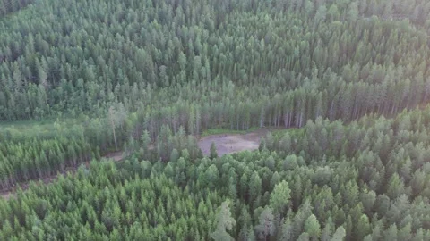 Logging road turnarounds, Boreal Forestry scene, Aerial Stock Footage 346752827
