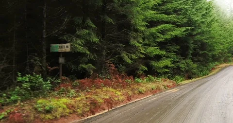 Logging road in winter Stock Footage 91251315