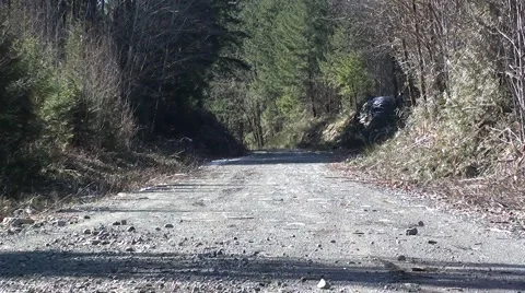 Logging Road.m2ts Stock Footage 1105355