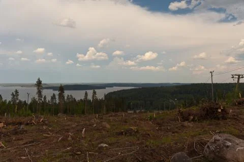 Logging site on a hill Stock Photos