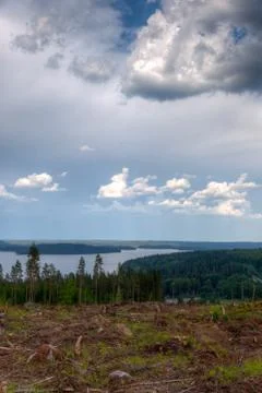 Logging site on a hill Stock Photos