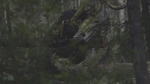 Logging slow Video stock 166091571