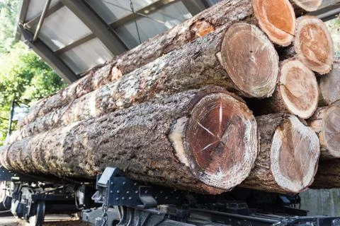 Logging train Stock Photos