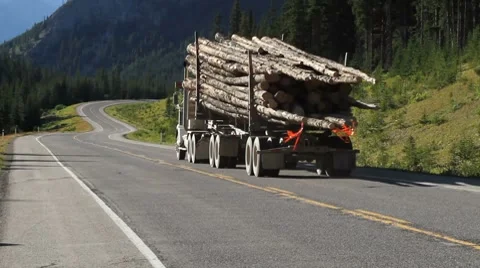 Logging Truck 01 Stock Footage