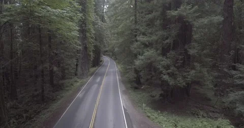 Logging Truck approaching on Forest Road | Drone shot Stock Footage 134356474
