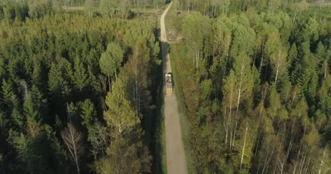 Logging truck with cut tree logs timber driving in forest on road aerial view Stock Footage 141573909