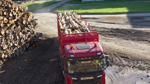 A logging truck delivering timber. View from the cab of a timber loader Stockbeeldmateriaal 294054971