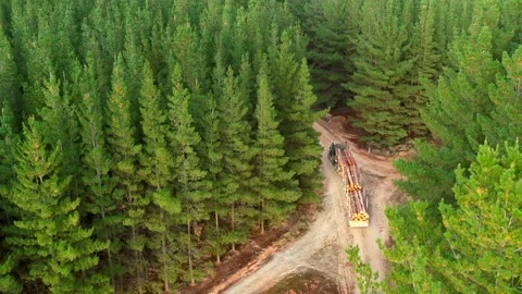 Logging truck drives down forest road from drone Stock Footage 172559082
