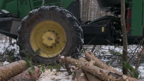 A logging truck drives through a winter forest Video stock 300765504