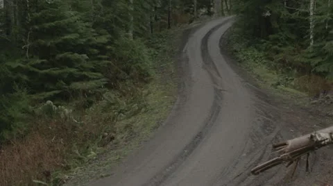 Logging truck drives toward camera Stock Footage 10982365