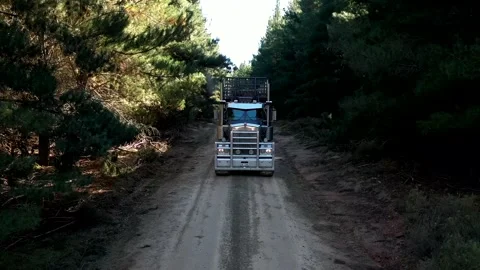 Logging truck drives under camera on forest road Stock Footage 172559072