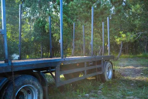 A logging truck with empty trailers drives forward along the highway agains.. Foto stock