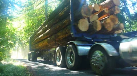 Logging Truck in Forest Drive By 2 Stock Footage 8665818