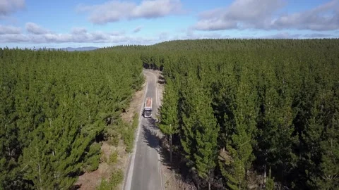 Logging Truck in Forest Drone 1 Stock Footage 130283985
