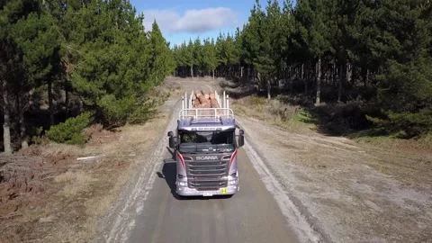 Logging Truck in Forest Drone 1 Stock Footage 130285571