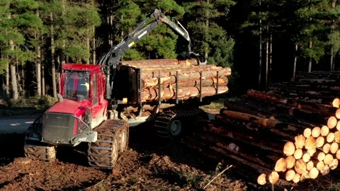 Logging truck with load Stock Footage 172559306